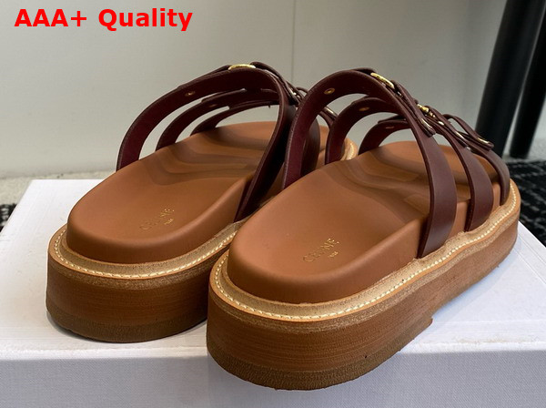 Celine Tippi Slide in Dark Brown Calfskin Replica