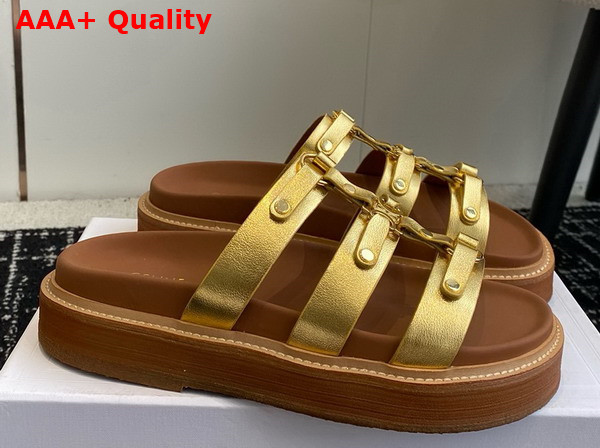 Celine Tippi Slide in Gold Calfskin Replica