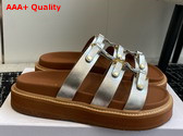 Celine Tippi Slide in Silver Calfskin Replica