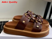 Celine Tippi in Calfskin Dark Brown Replica