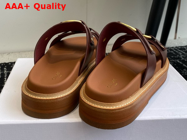 Celine Tippi in Calfskin Dark Brown Replica