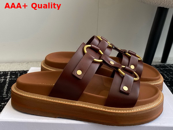 Celine Tippi in Calfskin Dark Brown Replica