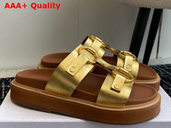 Celine Tippi in Calfskin Gold Replica