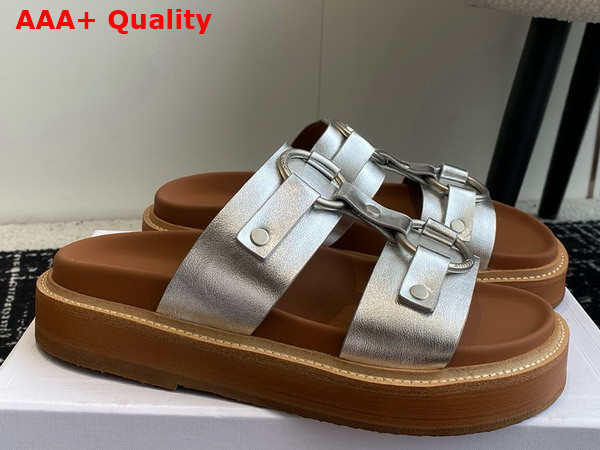 Celine Tippi in Calfskin Silver Replica