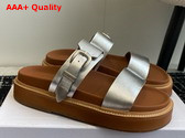 Celine Tippi in Calfskin Vegetal Tanning Silver Replica