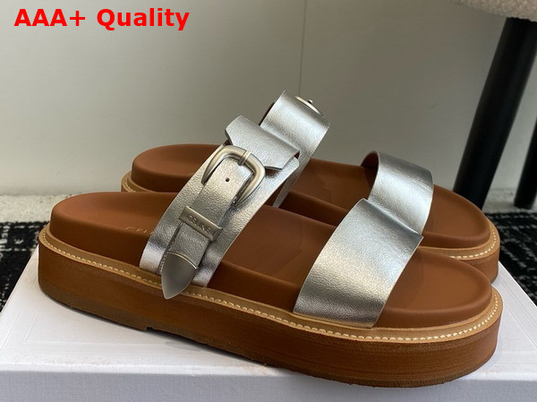 Celine Tippi in Calfskin Vegetal Tanning Silver Replica