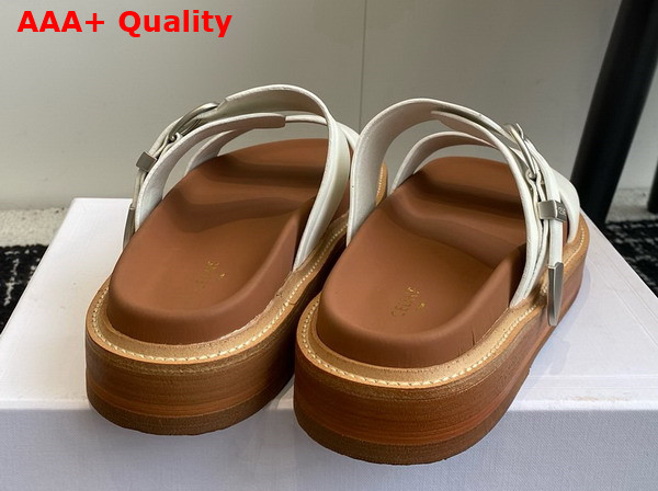 Celine Tippi in Calfskin Vegetal Tanning White Replica