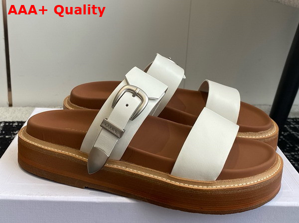 Celine Tippi in Calfskin Vegetal Tanning White Replica