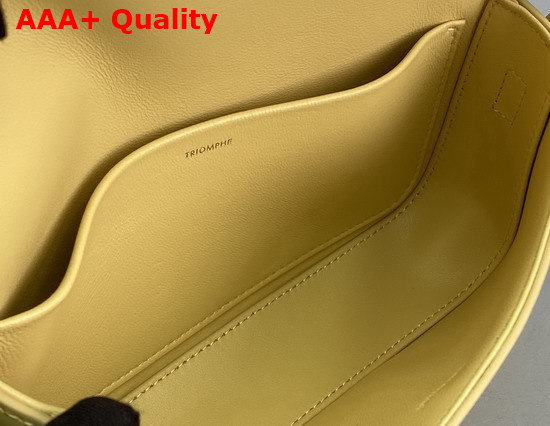 Celine Triomphe Shoulder Bag in Shiny Calfskin Papyrus Replica