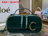 Chloe C Mini Vanity Bag in Croc Embossed Calfskin Woodsy Green Replica