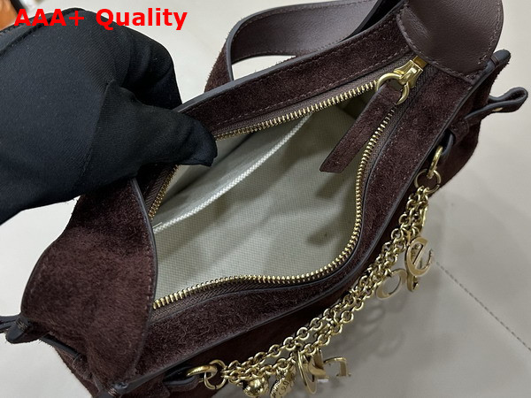 Chloe Charms Hobo Bag in Kohl Brown Suede Leather Replica