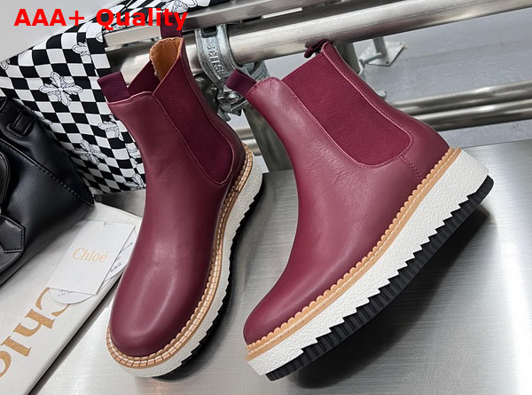 Chloe Lilli Chelsea Ankle Boot in Burgundy Cowhide Replica