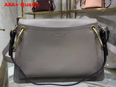 Chloe Medium Roy Bag in Motty Grey Suede and Smooth Calfskin Replica