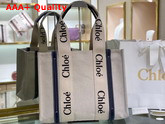 Chloe Medium Woody Tote Bag in Cotton Canvas and Shiny Calfskin with Woody Ribbon White and Full Blue Replica