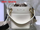 Chloe Mini Roy Bucket Bag in Natural White Smooth Calfskin Replica
