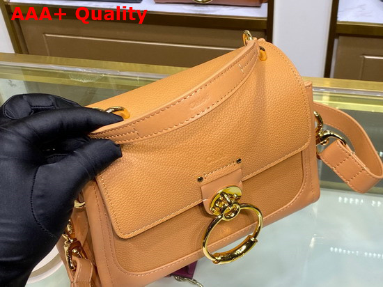 Chloe Mini Tess Day Bag in Grained and Shiny Calfskin Light Brown Replica