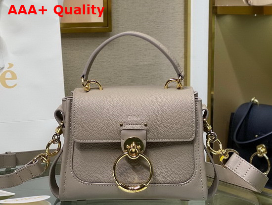 Chloe Mini Tess Day Bag in Grained and Shiny Calfskin Motty Gray Replica