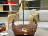 Chloe Paddington Crossbody Bag in Mustang Brown Grained Leather Replica