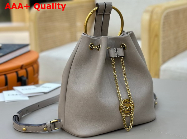 Chloe Small Bracelet Backpack in Motty Grey Grained Leather Replica