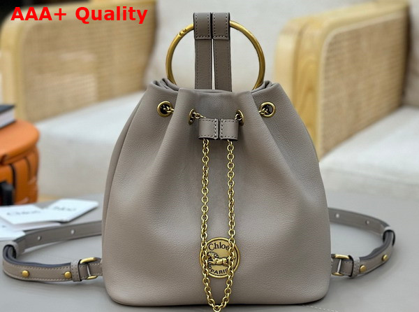Chloe Small Bracelet Backpack in Motty Grey Grained Leather Replica