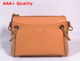 Chloe Small Roy Bag in Blush Pink Smooth and Suede Calfskin Replica