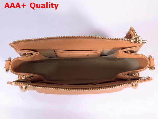 Chloe Small Roy Bag in Blush Pink Smooth and Suede Calfskin Replica