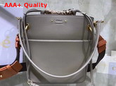 Chloe Small Roy Bucket Bag in Motty Grey Smooth Calfskin Replica