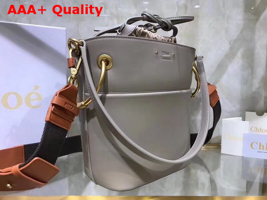 Chloe Small Roy Bucket Bag in Motty Grey Smooth Calfskin Replica
