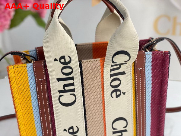 Chloe Small Tote Bag Striped Cotton Canvas and Shiny Calfskin Brown Multicolour Replica