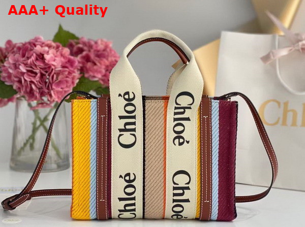 Chloe Small Tote Bag Striped Cotton Canvas and Shiny Calfskin Brown Multicolour Replica