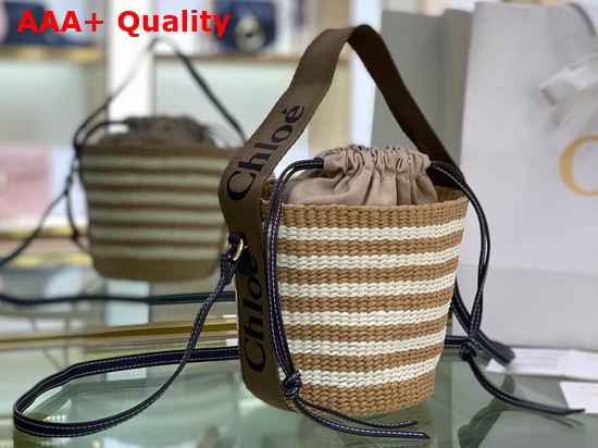 Chloe Small Woody Basket in Fair Trade Paper with the Woody Ribbon Grove Brown Replica