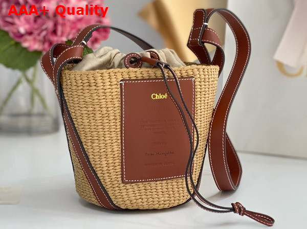Chloe Small Woody Basket in Natural Fibers and Brown Leather Replica