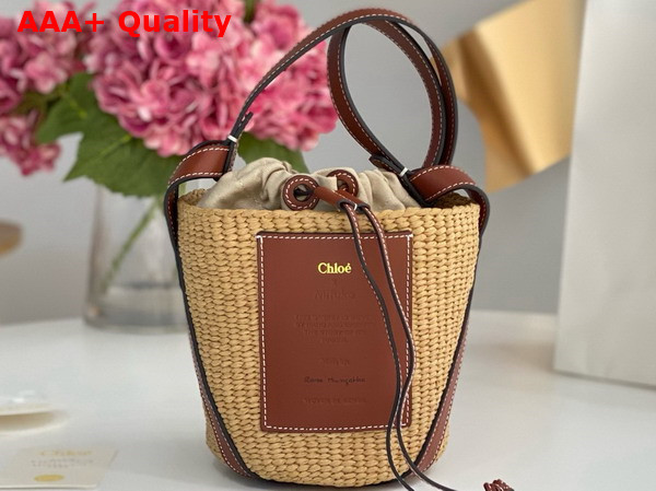 Chloe Small Woody Basket in Natural Fibers and Brown Leather Replica