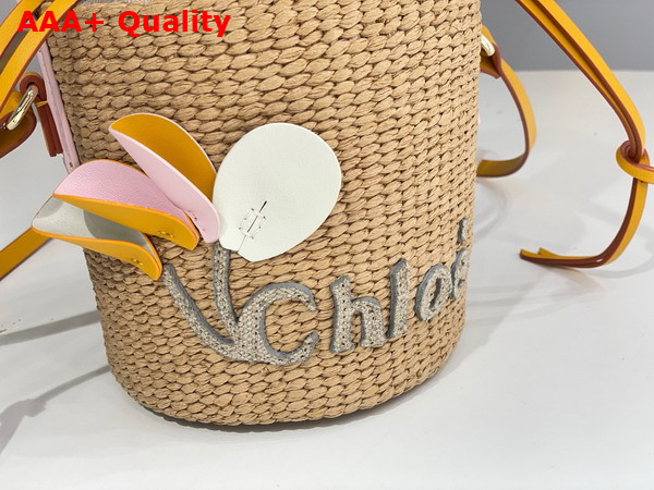 Chloe Small Woody Basket in Natural Fibers with Leather Flower Replica