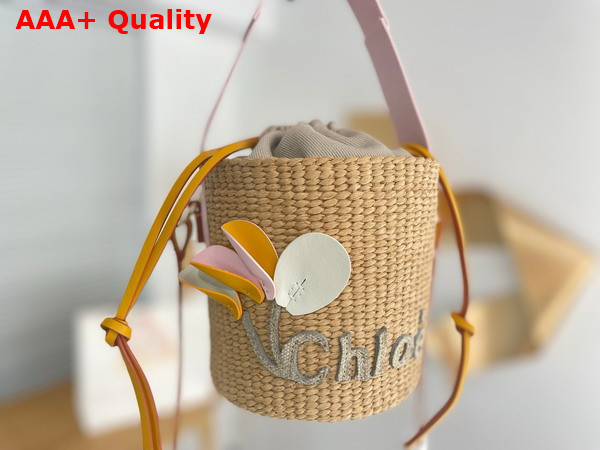 Chloe Small Woody Basket in Natural Fibers with Leather Flower Replica
