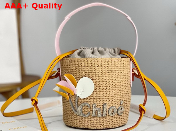 Chloe Small Woody Basket in Natural Fibers with Leather Flower Replica