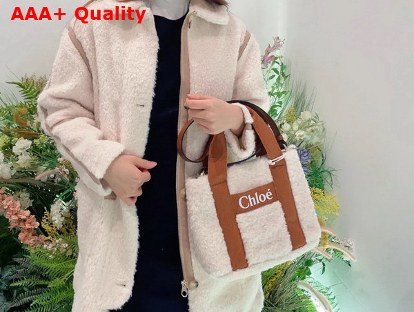Chloe Small Woody Tote Bag in Beige Shearling and Tan Nylon Replica