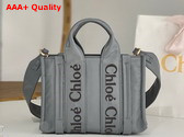 Chloe Small Woody Tote Bag in Elephant Grey Recycled Nylon with Chloe Logo Replica