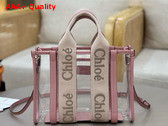Chloe Small Woody Tote Bag in Jelly and Leather Blushy Beige Replica