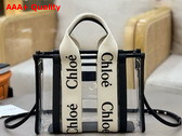 Chloe Small Woody Tote Bag in Jelly and Leather White Replica