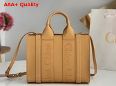 Chloe Small Woody Tote Bag in Light Tan Smooth Calfskin with Chloe Logo Replica