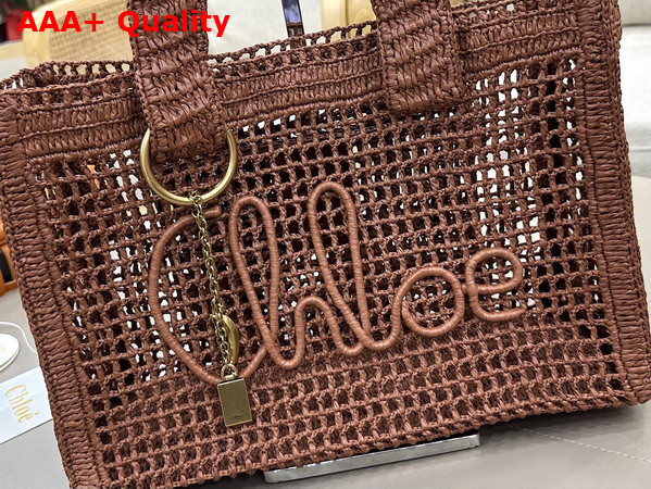 Chloe Summer Banana East West Tote Bag in Clay Brown Raffia Replica