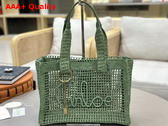 Chloe Summer Banana East West Tote Bag in Tea Leaf Green Raffia Replica