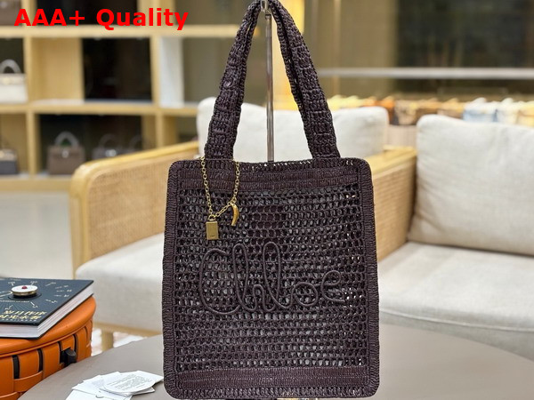 Chloe Summer Banana Tote Bag in Raffia Kohl Brown Replica