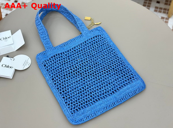 Chloe Summer Banana Tote Bag in Stomy Sea Raffia Replica