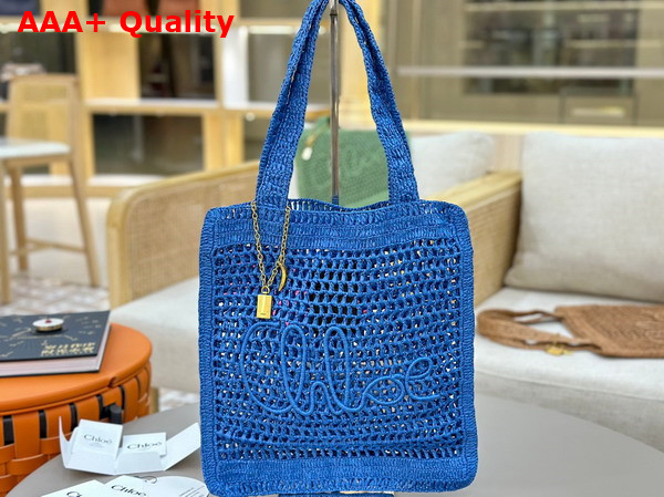 Chloe Summer Banana Tote Bag in Stomy Sea Raffia Replica