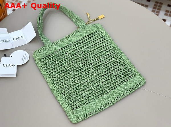 Chloe Summer Banana Tote Bag in Tea Leaf Green Raffia Replica