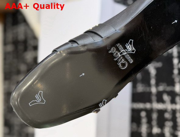 Chloe Susanna Flat in Black Buffalo Leather Replica