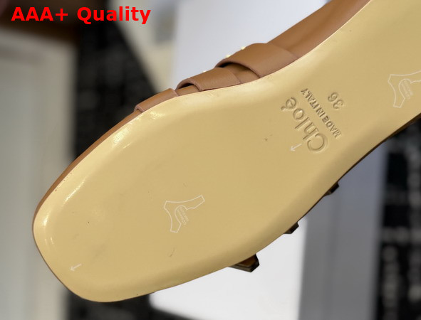 Chloe Susanna Flat in Tan Buffalo Leather Replica