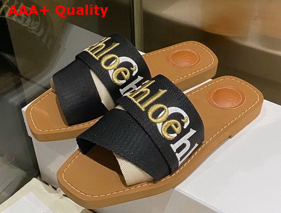 Chloe Woody Flat Mule in Black Canvas Replica